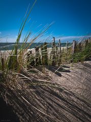 Sylt 2013 VIII