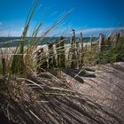 Sylt 2013 VIII