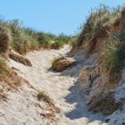 Sylt 2013 - Weg in den Dünen bei Westerland