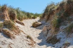 Sylt 2013 - Weg in den Dünen bei Westerland