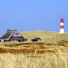 Sylt 2018 (3)