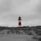 Sylt 2018 (526)1