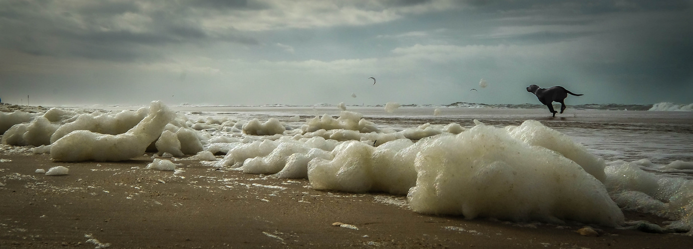 Sylt 2018