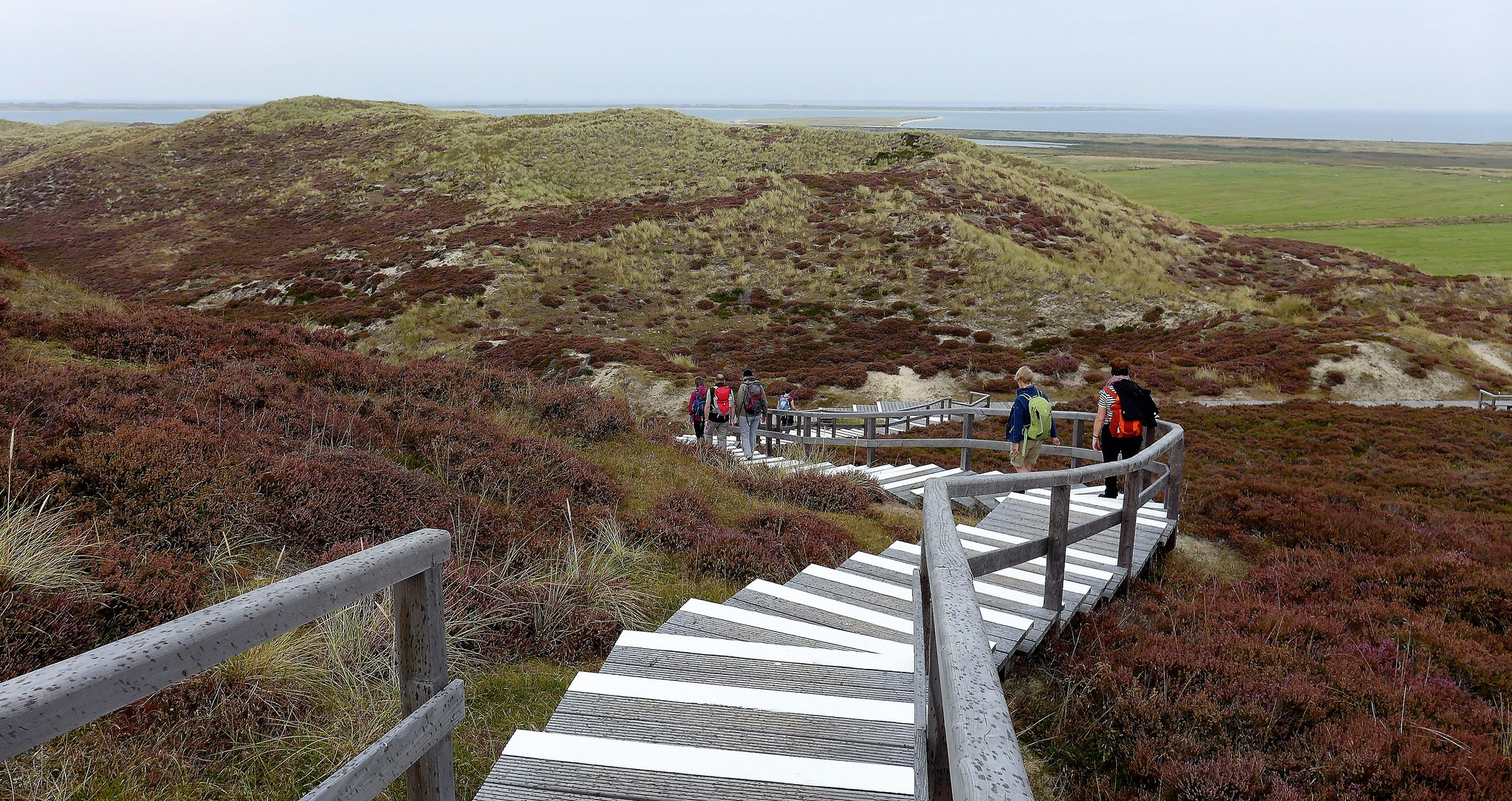 Sylt 2022-Ellenbogen