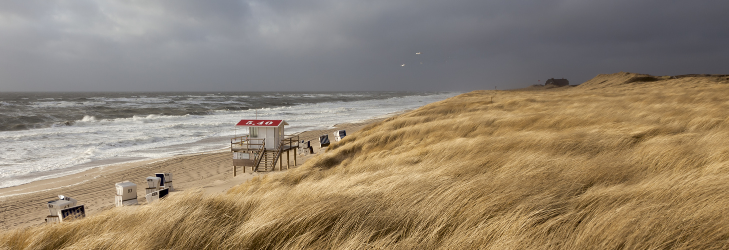 Sylt #23