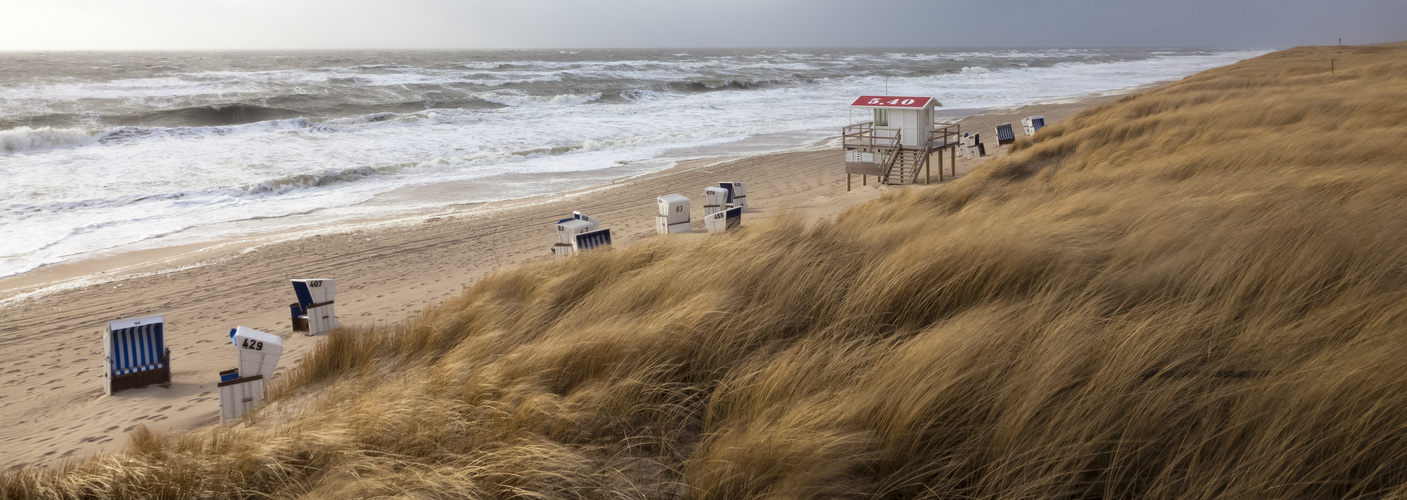 Sylt #26