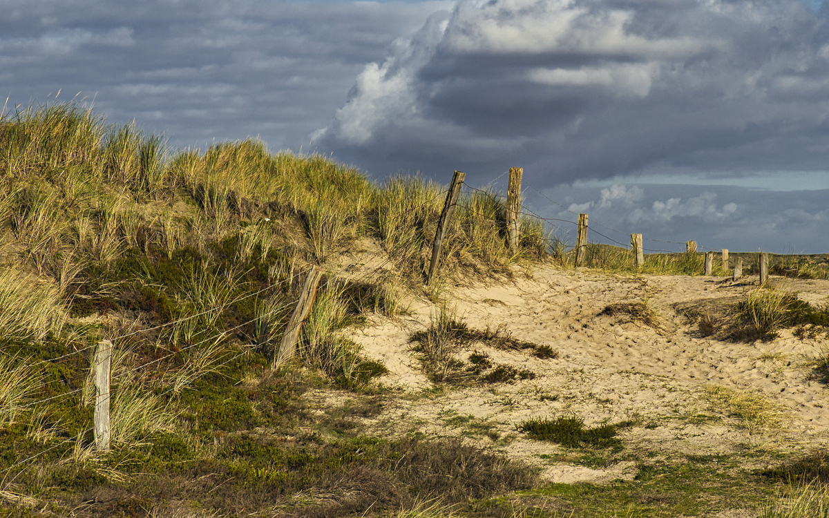 Sylt 3