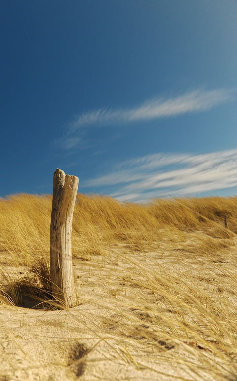 Sylt