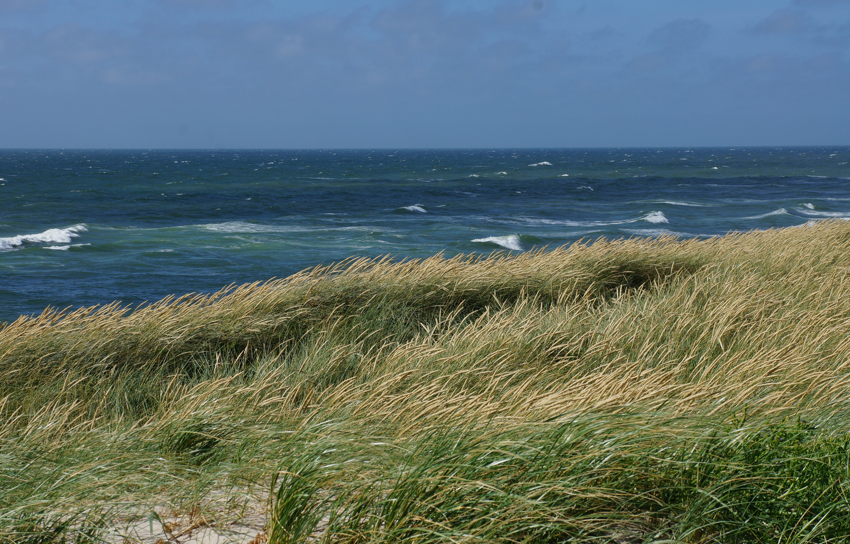 Sylt