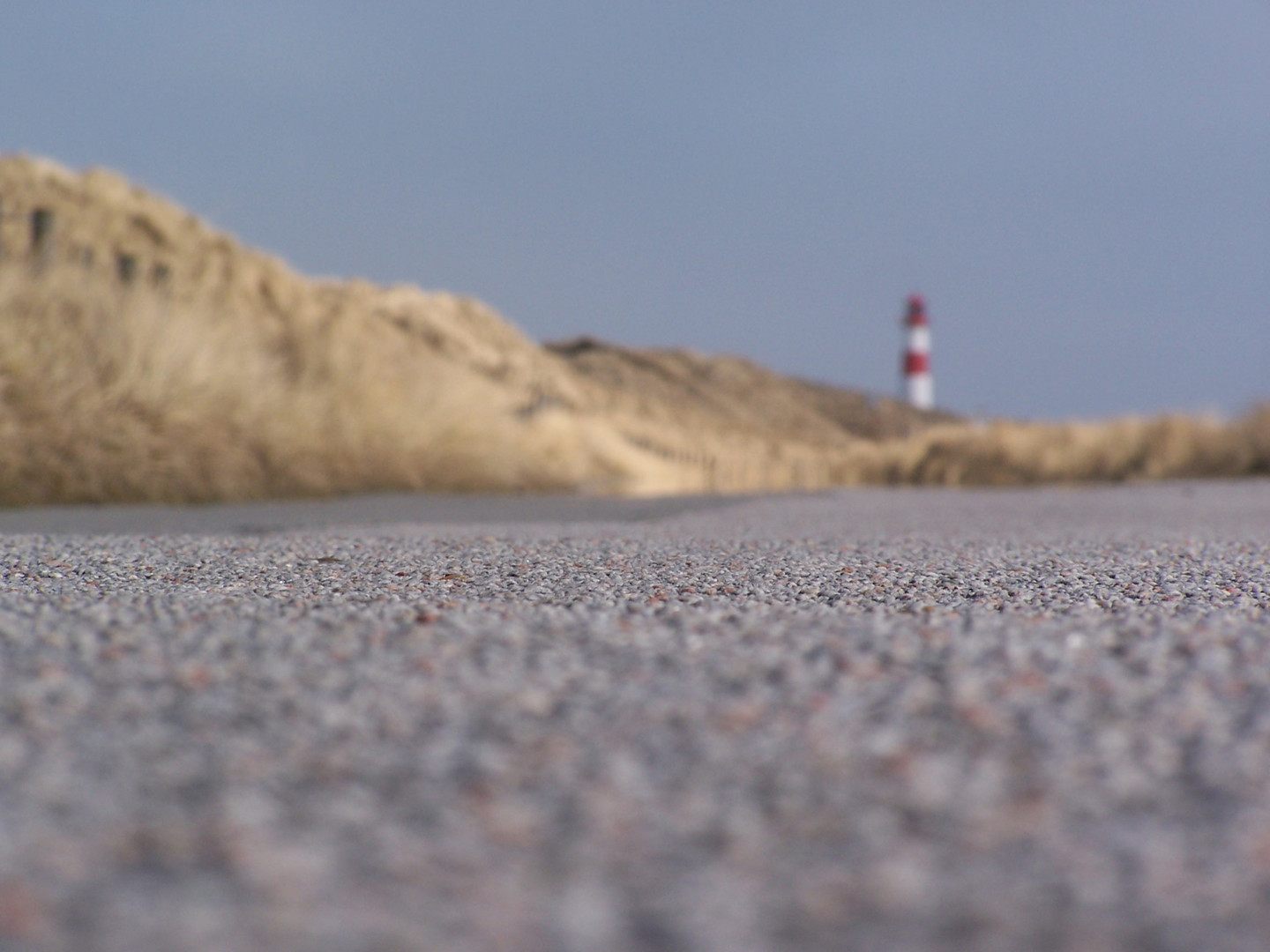 Sylt