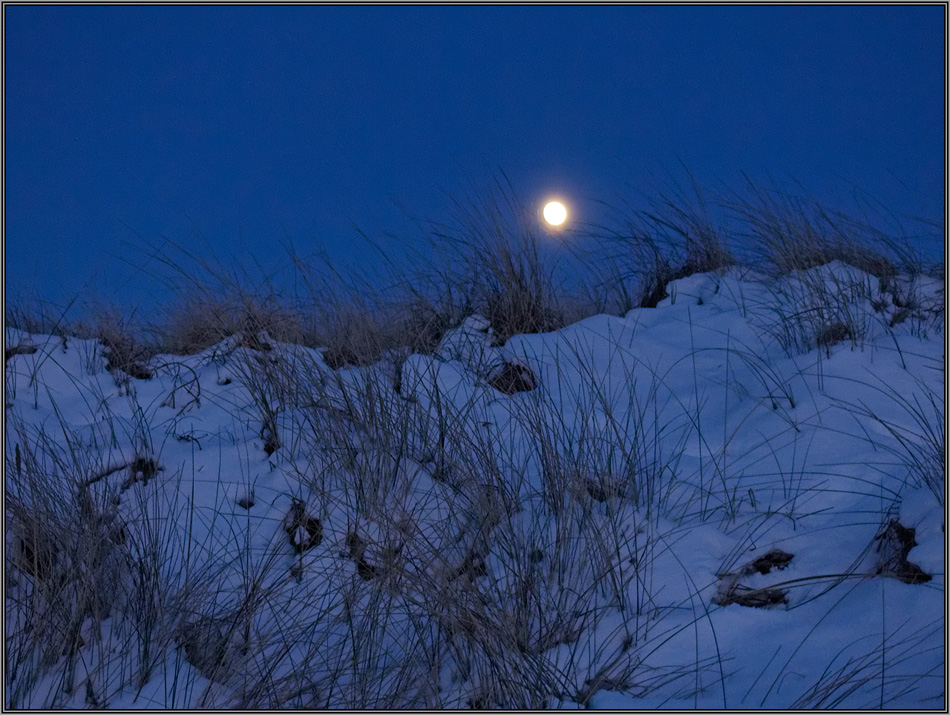 Sylt (4)