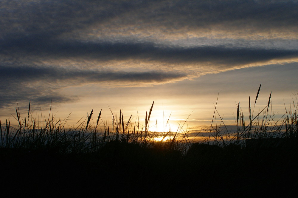 " SYLT 4 " MORGENSTIMMUNG