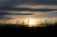 " SYLT 4 " MORGENSTIMMUNG