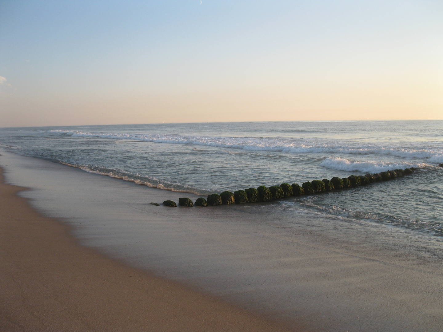 Sylt