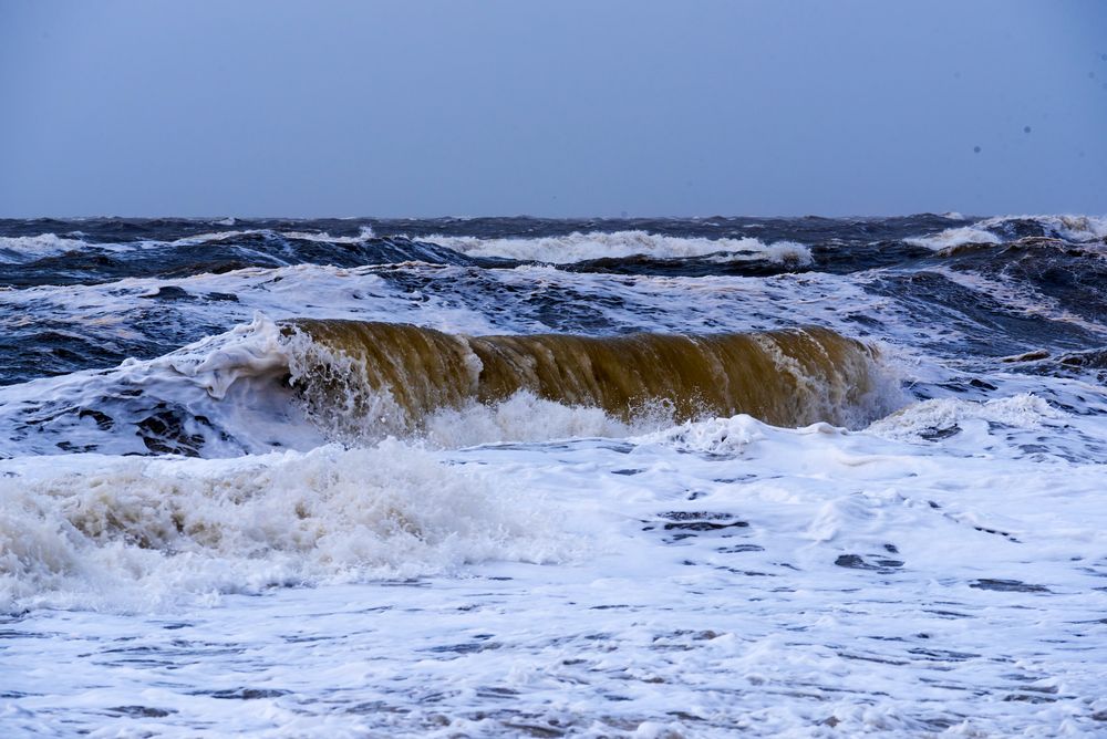 Sylt (42)