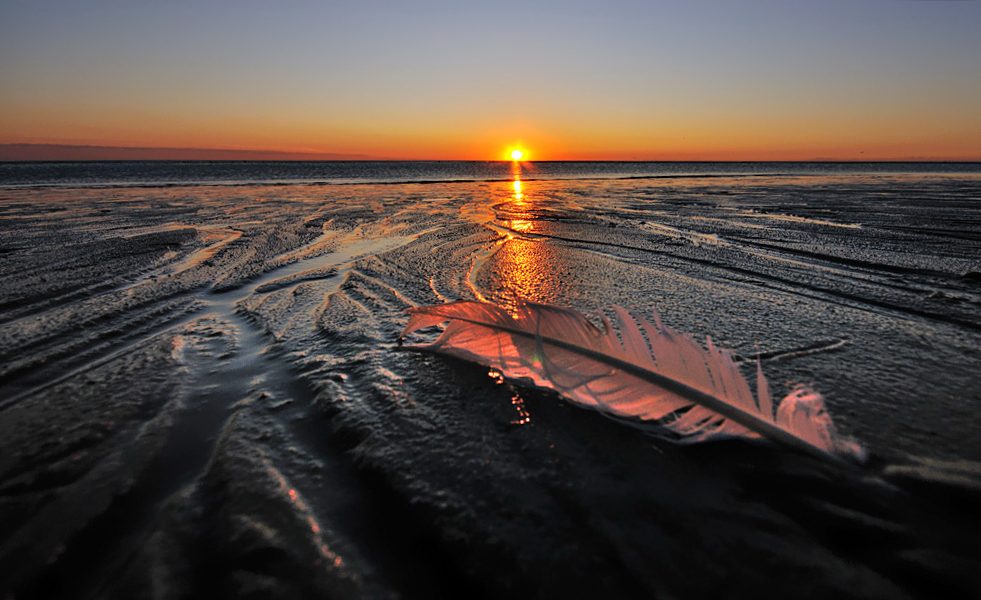 sylt