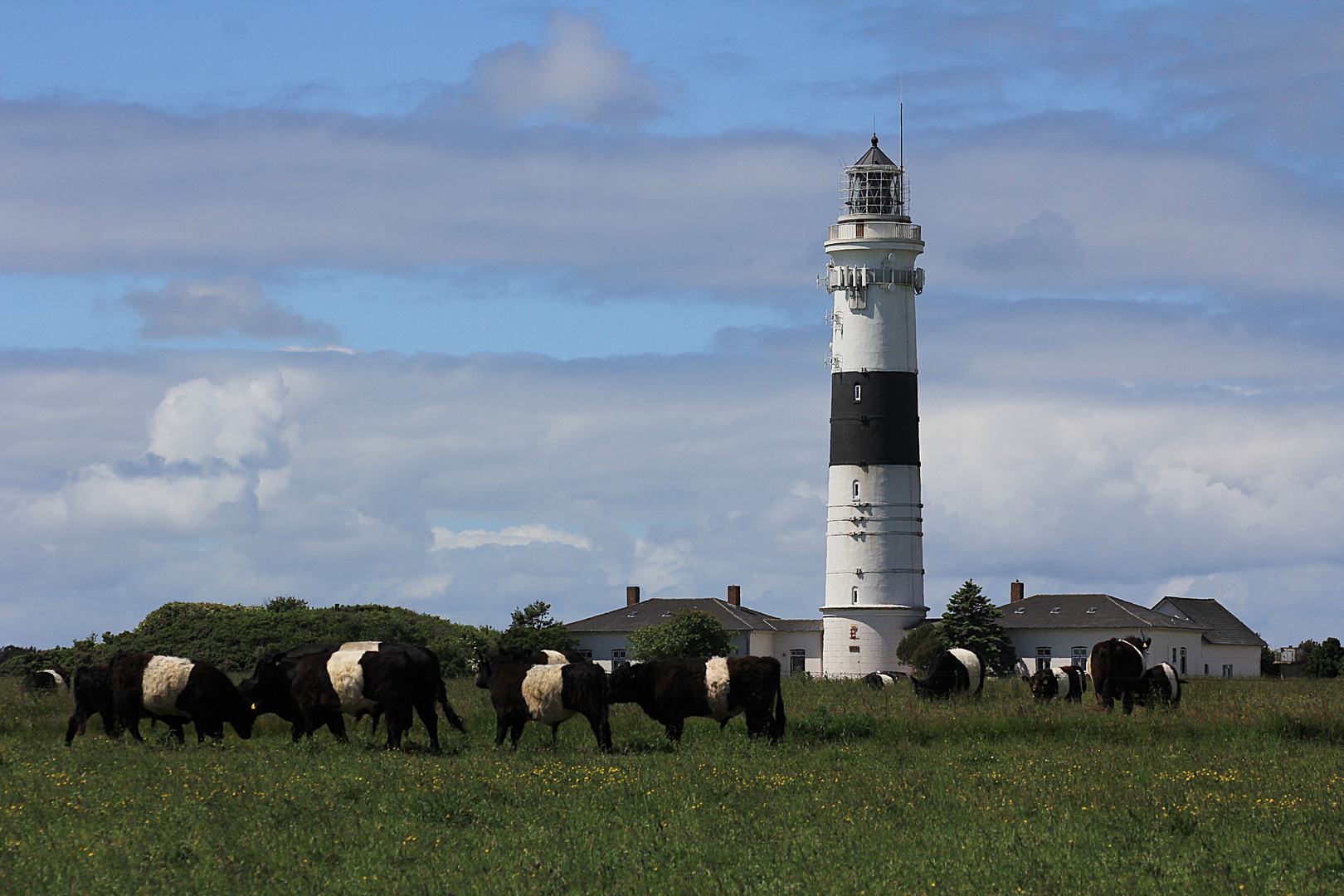 Sylt