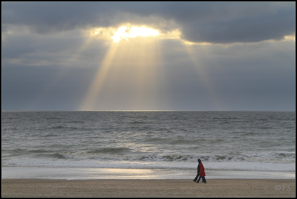 Sylt (5)