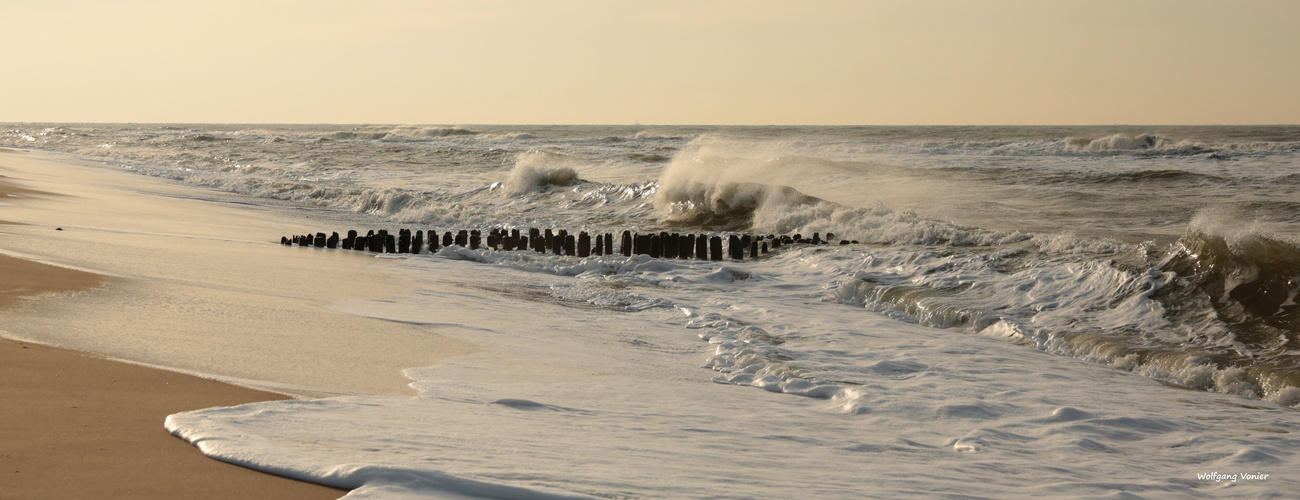 Sylt