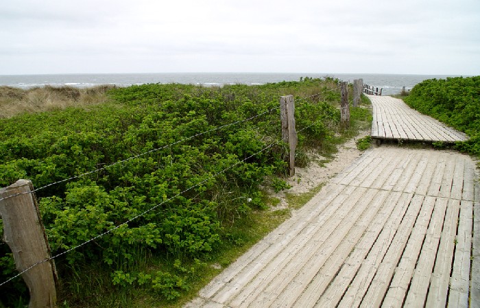 Sylt