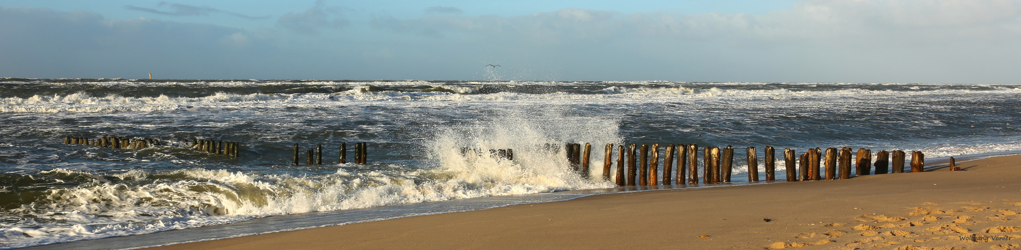 Sylt