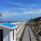 SYLT 6