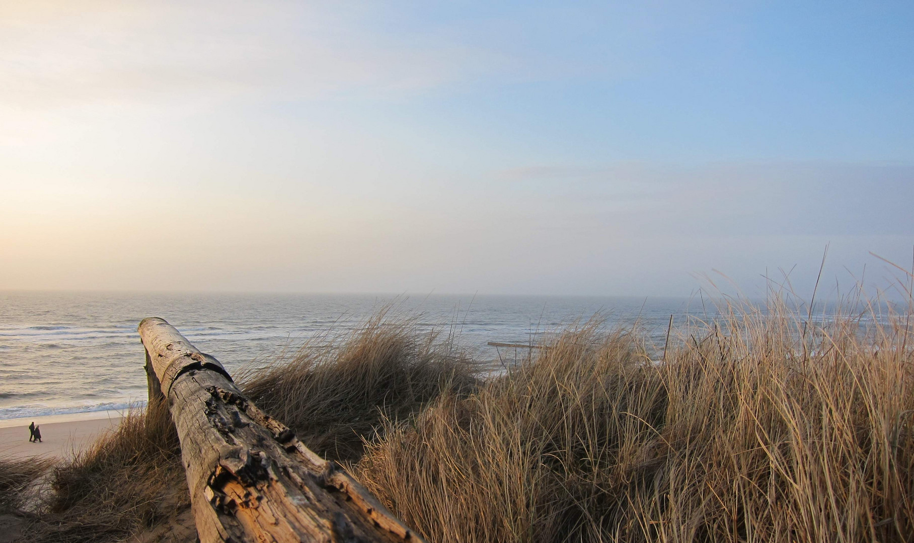 Sylt