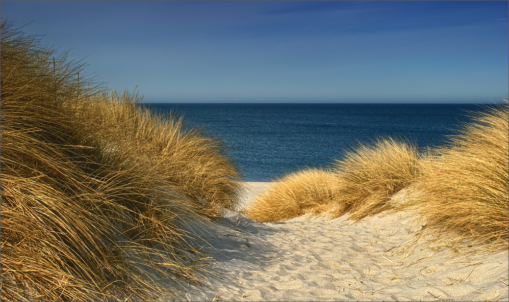 Sylt