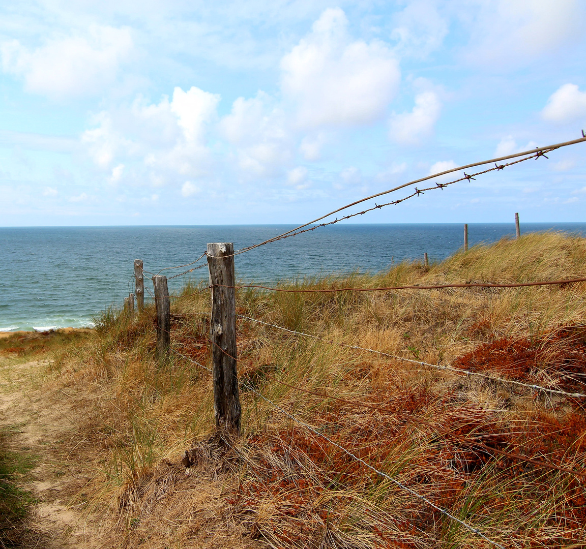 Sylt