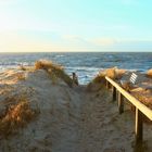 Sylt