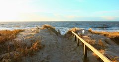 Sylt