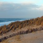 Sylt