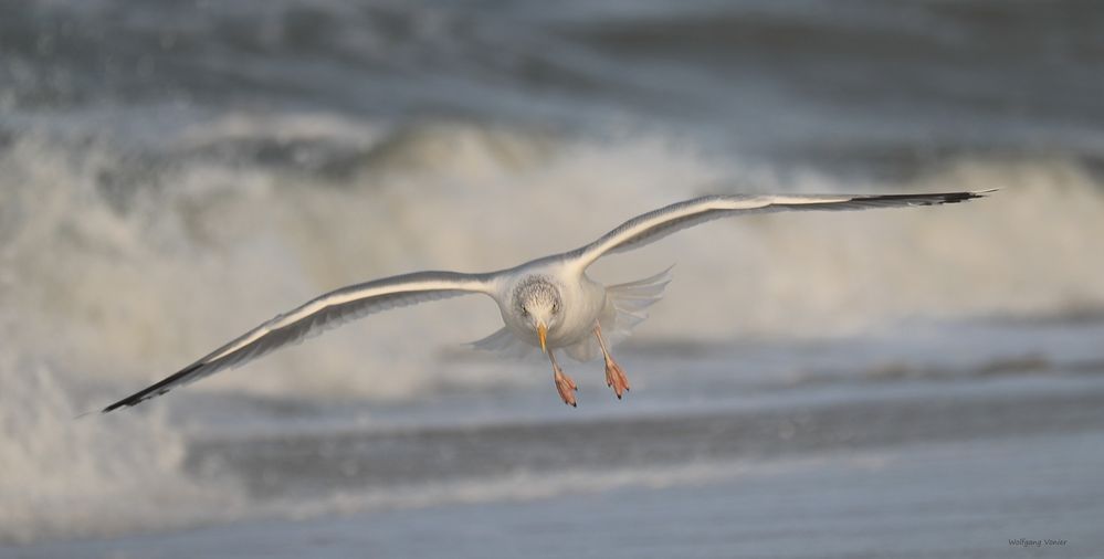 Sylt 