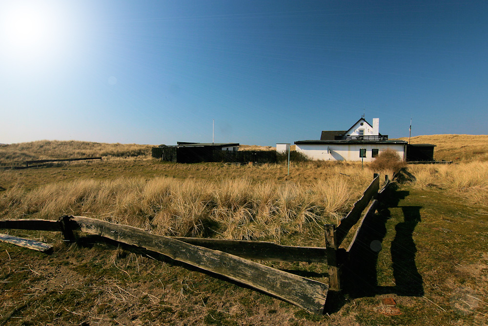 Sylt