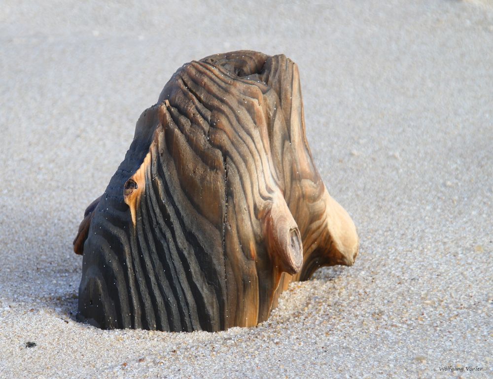 Sylt Foto & Bild | deutschland, europe, schleswig- holstein Bilder auf