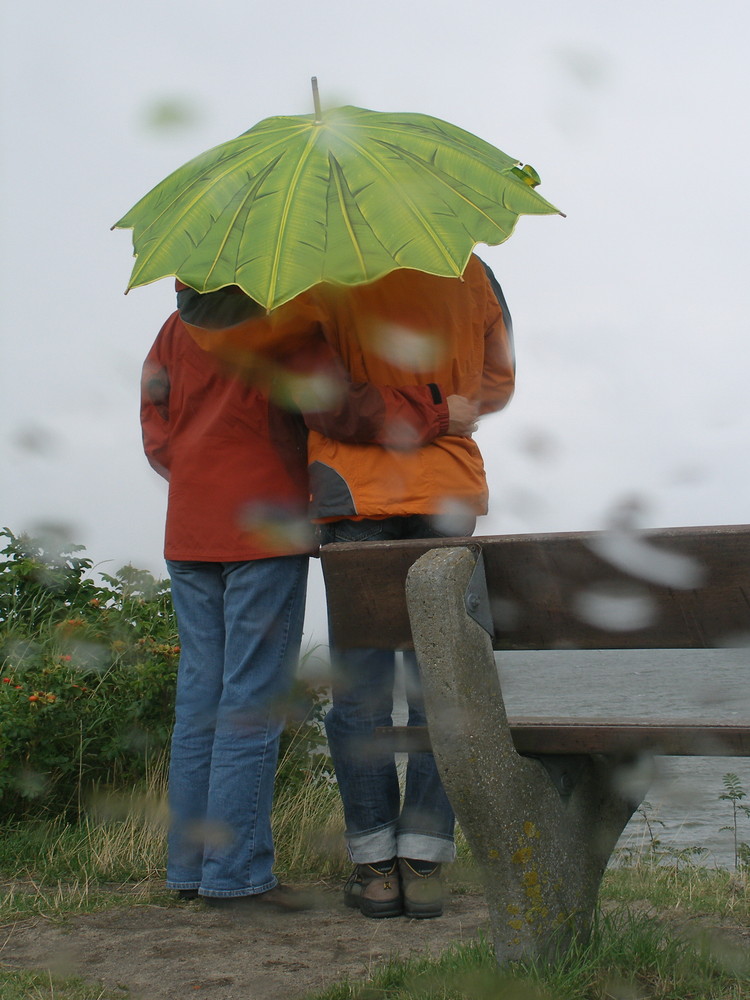 " SYLT 9 " " DER BLICK ZUM WATTENMEER "