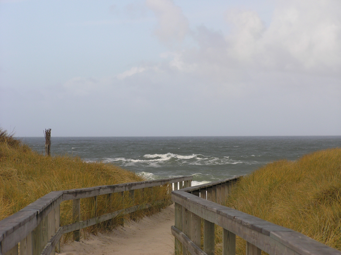 Sylt