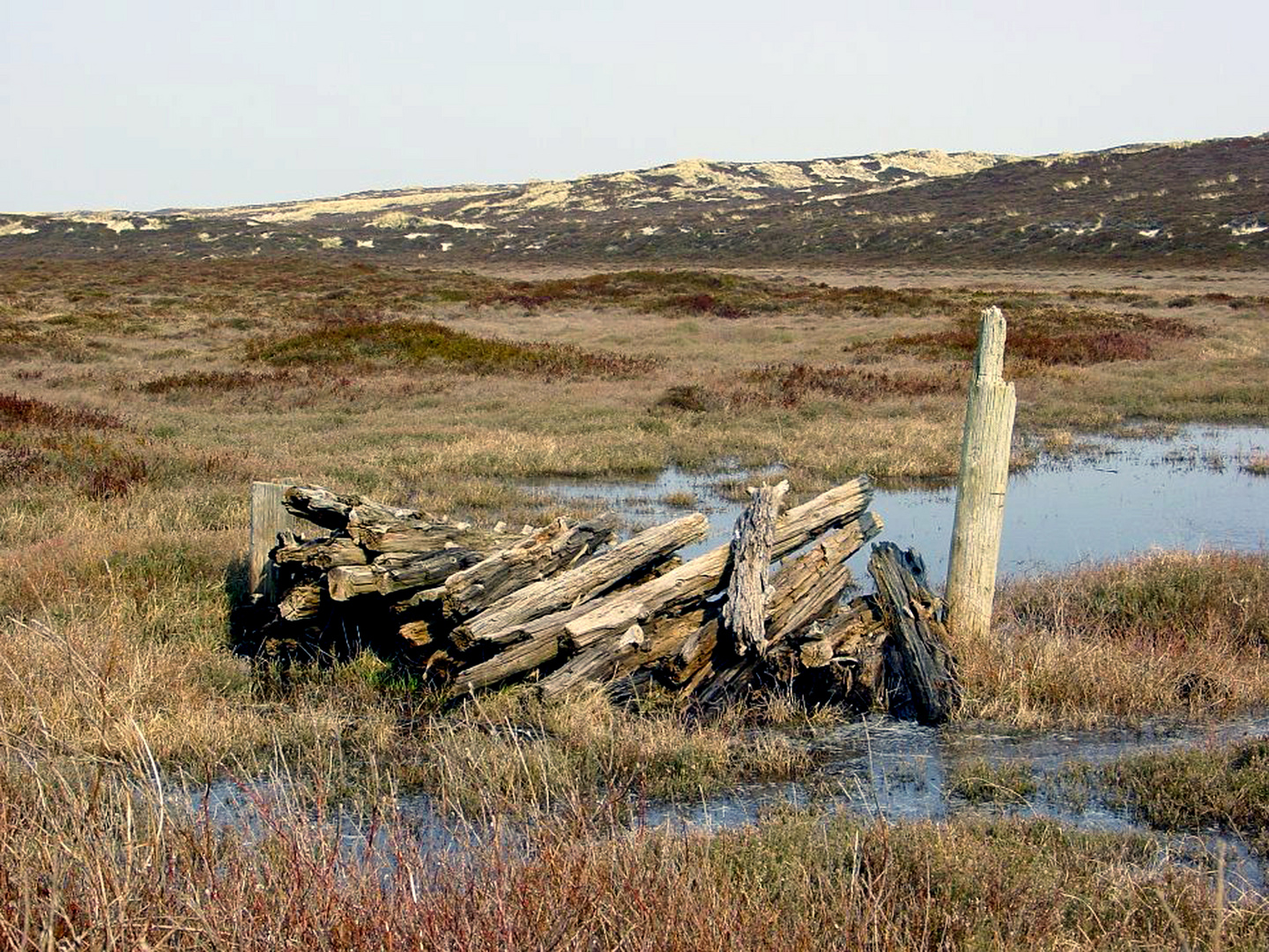 Sylt