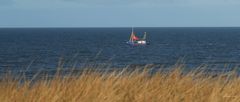 Sylt