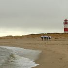 Sylt 