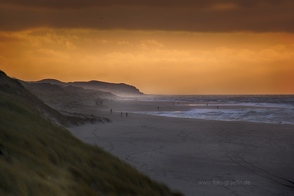 SYLT - Abendstimmung