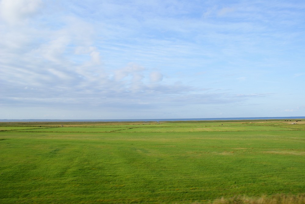 Sylt