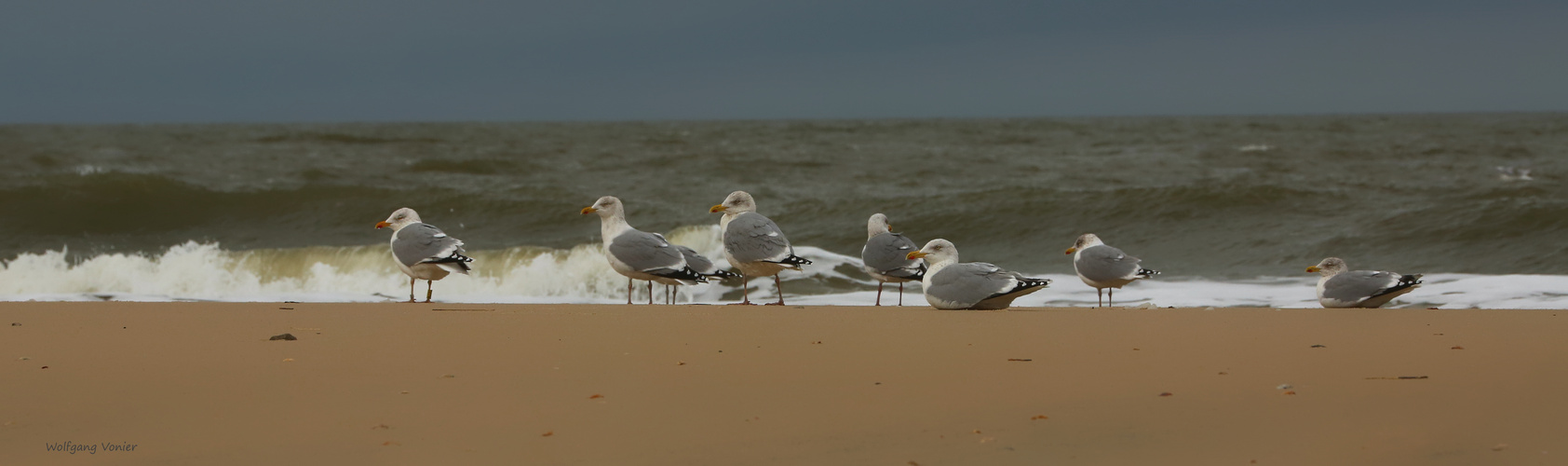 Sylt