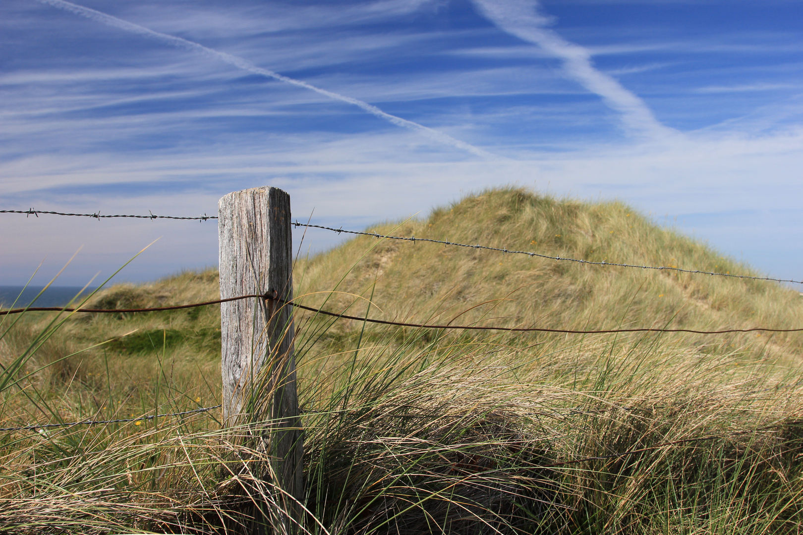 Sylt