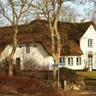 Sylt - Altes Friesenhaus in Keitum