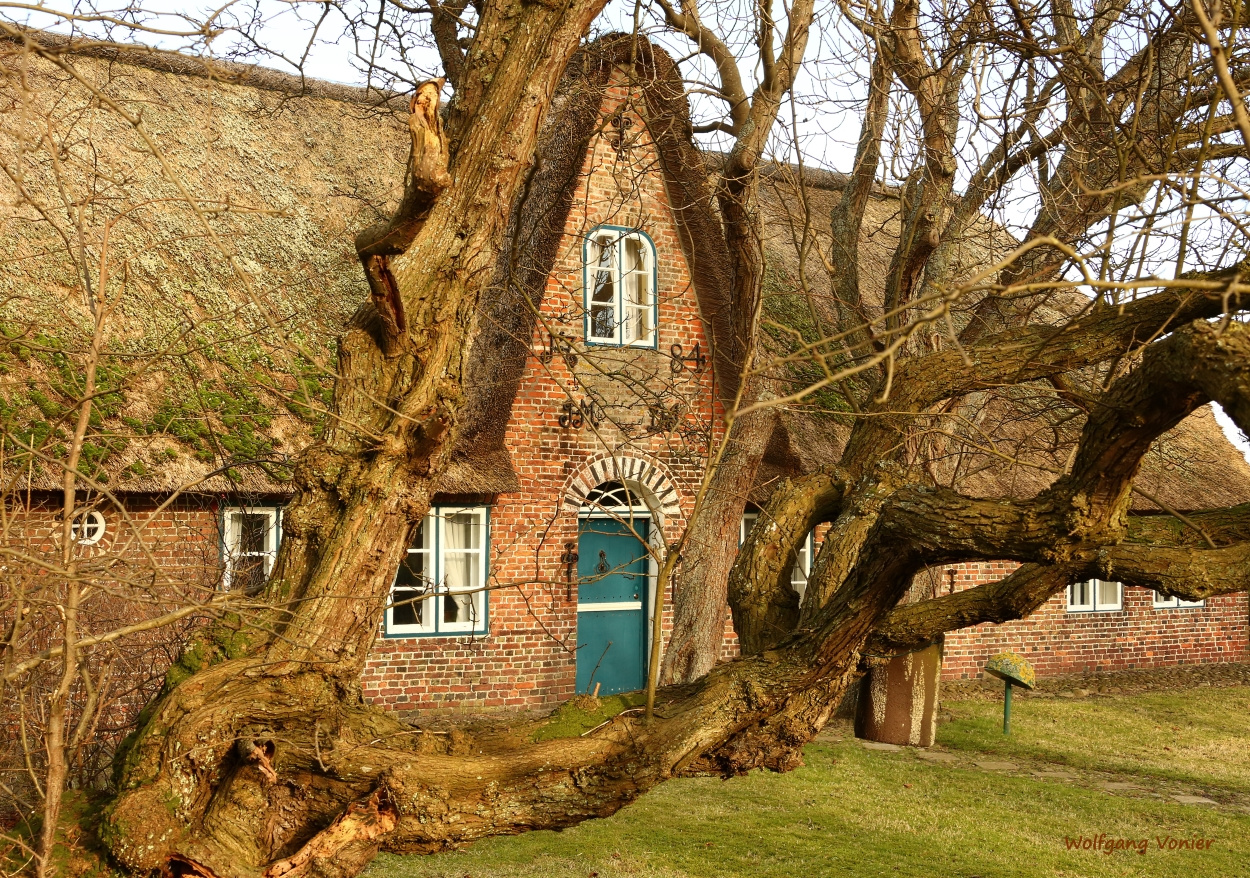 Sylt - Altes Friesenhaus in Keitum erbaut 1784