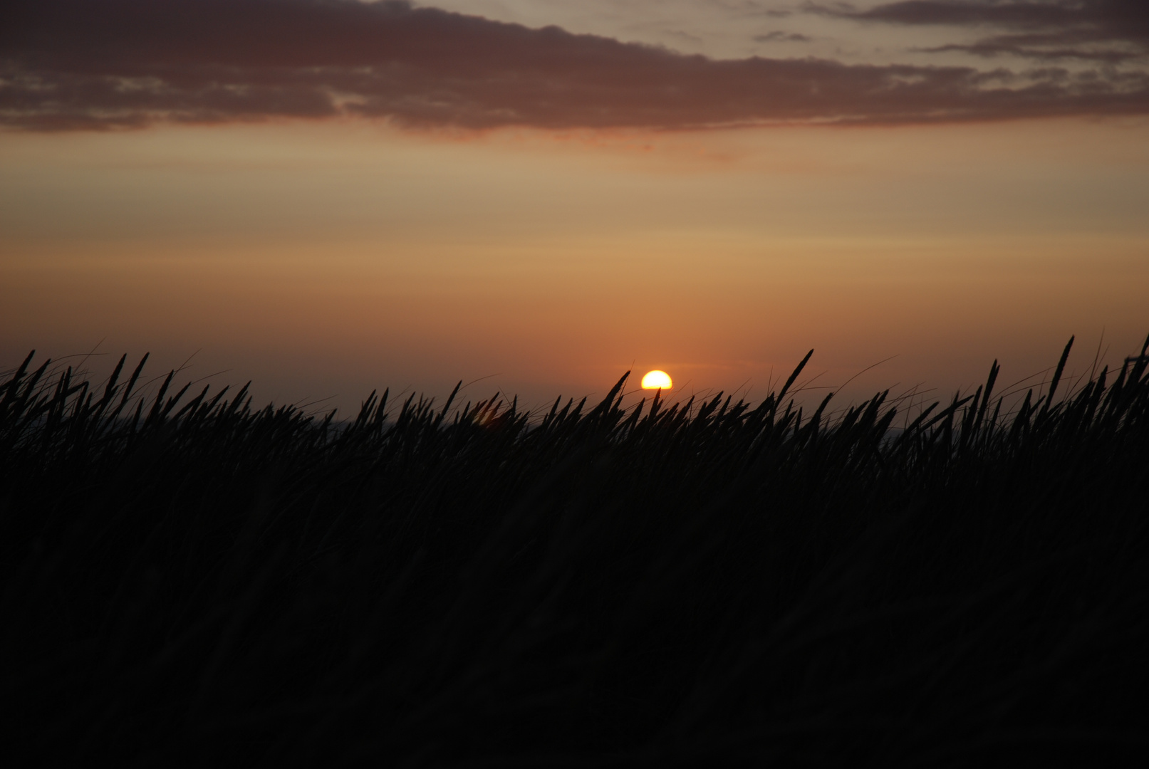 Sylt am Abend II