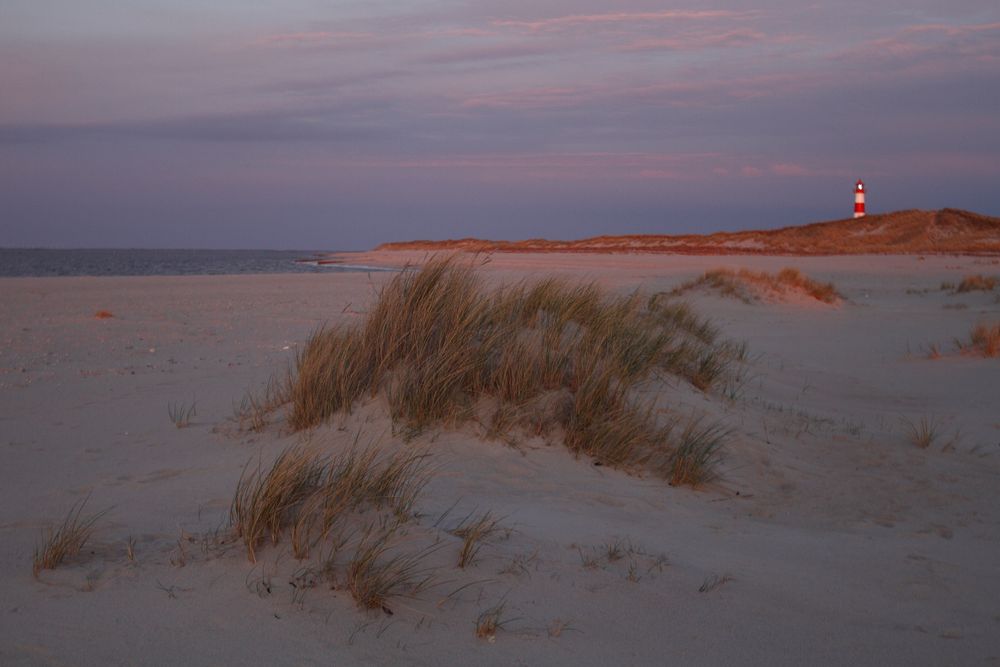 Sylt, Am Ellbogen von Robert Hoiss 