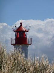 Sylt - Am Ellenbogen