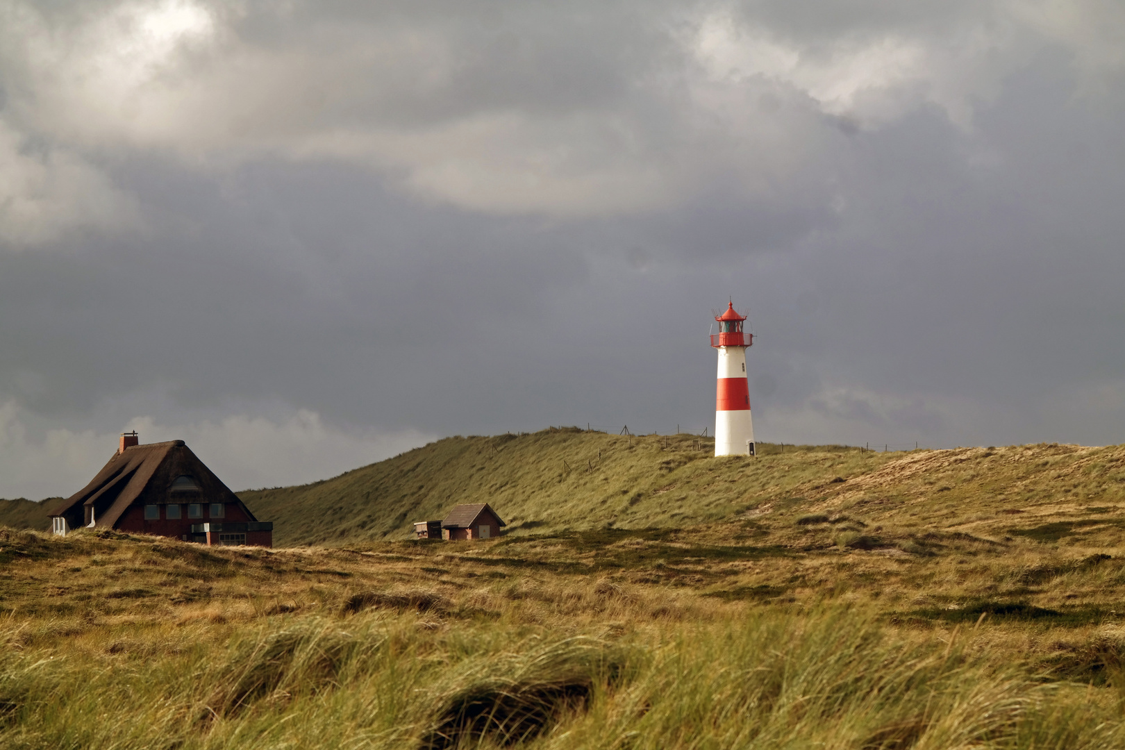 Sylt am Ellenbogen